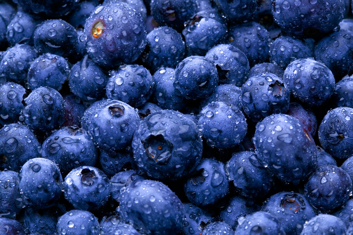 Wet Blueberries